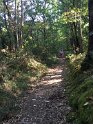 2018-09-19 11-29-39 Rando Combas